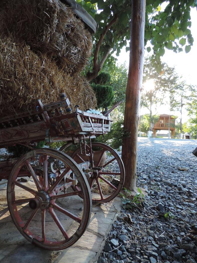 Anatolia Hotel Geyre Karacasu Aydin Buitenkant foto