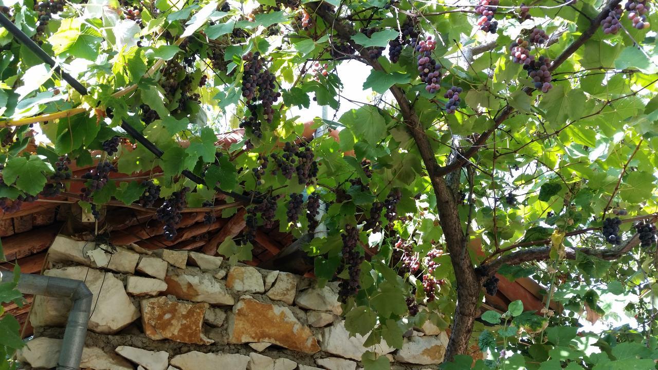 Anatolia Hotel Geyre Karacasu Aydin Buitenkant foto