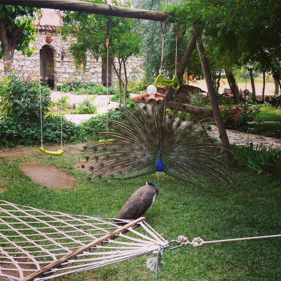 Anatolia Hotel Geyre Karacasu Aydin Buitenkant foto